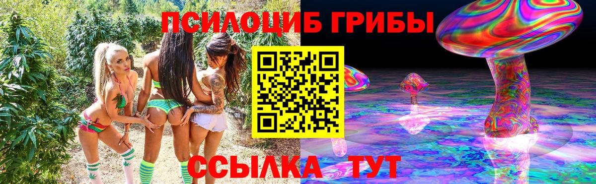 Галлюциногенные грибы Psilocybine cubensis Верхняя Салда