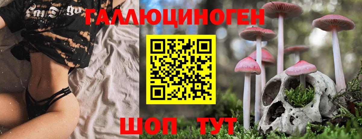 Верхняя Салда  Псилоцибиновые грибы Psilocybe  Вход с VPN  где можно купить   Галлюциногенные грибы мицелий 